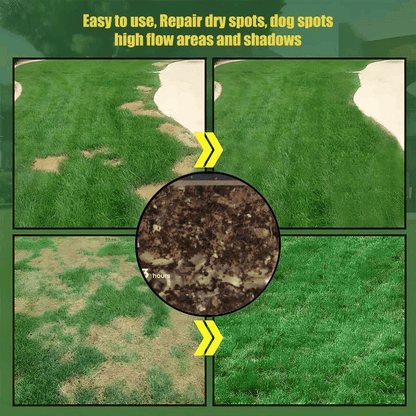 🔥Last Day Promotion Buy 2 Get 1 Free🔥🌱Lumicoy® 2026 Evergreen Dwarf Grass Seed for Four Seasons