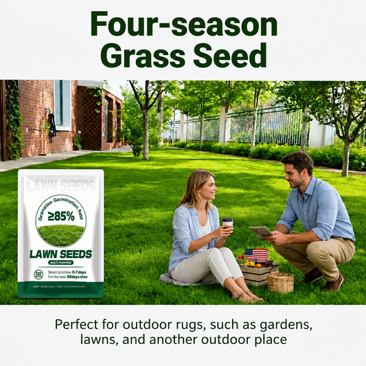 🔥Last Day Promotion Buy 2 Get 1 Free🔥🌱Lumicoy® 2026 Evergreen Dwarf Grass Seed for Four Seasons
