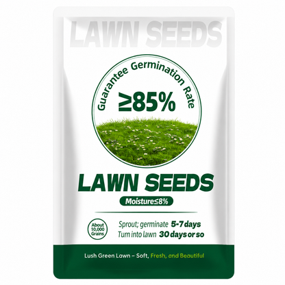 🔥Last Day Promotion Buy 2 Get 1 Free🔥🌱Lumicoy® 2026 Evergreen Dwarf Grass Seed for Four Seasons