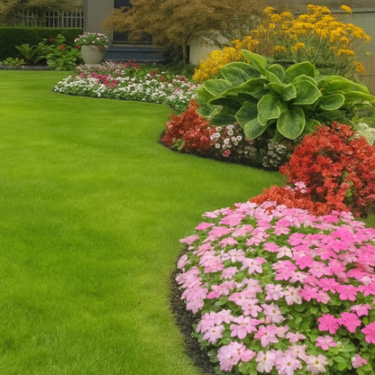 🔥Last Day Promotion Buy 2 Get 1 Free🔥🌱Lumicoy® 2026 Evergreen Dwarf Grass Seed for Four Seasons