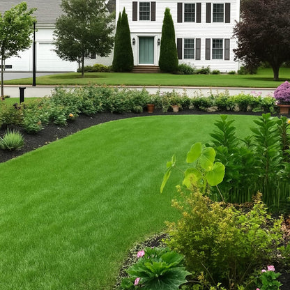 🔥Last Day Promotion Buy 2 Get 1 Free🔥🌱Lumicoy® 2026 Evergreen Dwarf Grass Seed for Four Seasons
